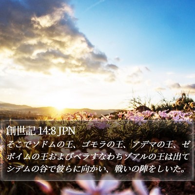 創世記 14:8 JPN Bible Verse Image
