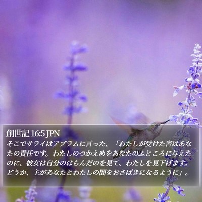 創世記 16:5 JPN Bible Verse Image