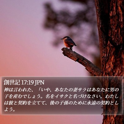創世記 17:19 JPN Bible Verse Image