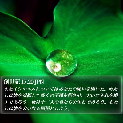 創世記 17:20 JPN Bible Verse Image