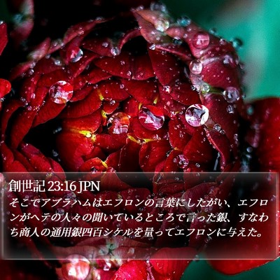 創世記 23:16 JPN Bible Verse Image