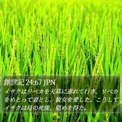 創世記 24:67 JPN Bible Verse Image