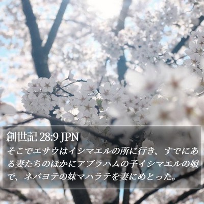 創世記 28:9 JPN Bible Verse Image