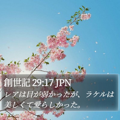 創世記 29:17 JPN Bible Verse Image
