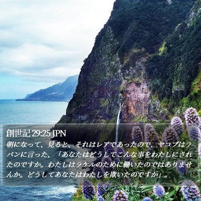 創世記 29:25 JPN Bible Verse Image