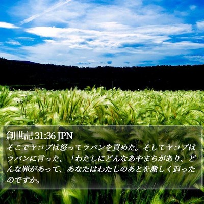 創世記 31:36 JPN Bible Verse Image