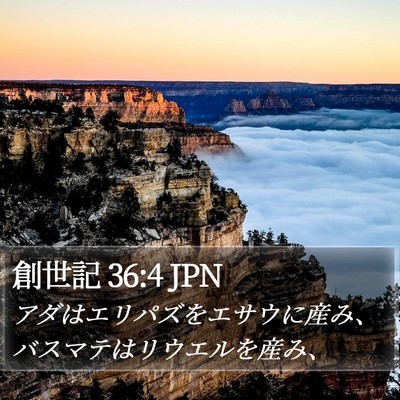 創世記 36:4 JPN Bible Verse Image