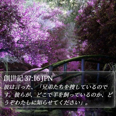 創世記 37:16 JPN Bible Verse Image