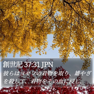 創世記 37:31 JPN Bible Verse Image