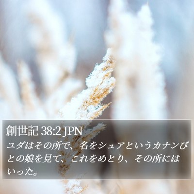 創世記 38:2 JPN Bible Verse Image