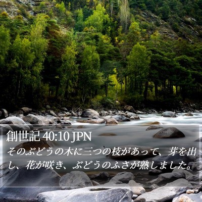 創世記 40:10 JPN Bible Verse Image