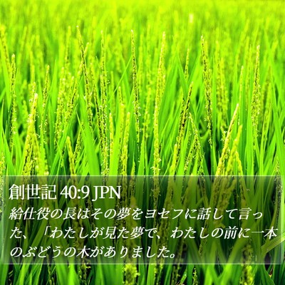 創世記 40:9 JPN Bible Verse Image