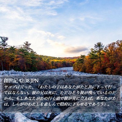 創世記 42:38 JPN Bible Verse Image