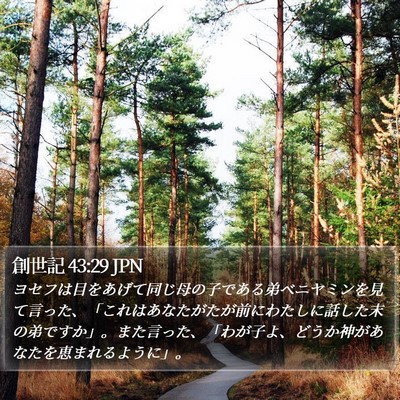 創世記 43:29 JPN Bible Verse Image