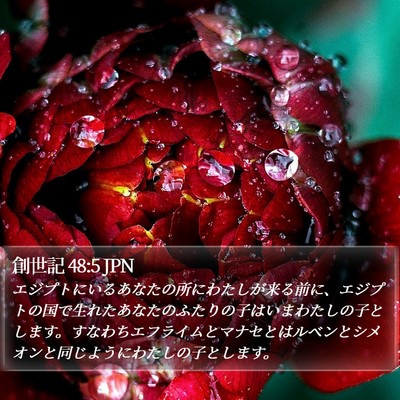 創世記 48:5 JPN Bible Verse Image