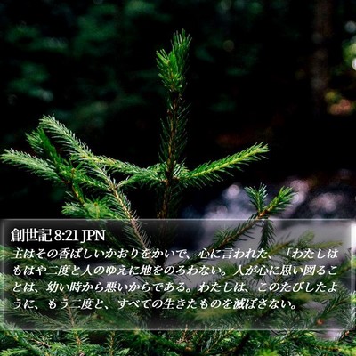 創世記 8:21 JPN Bible Verse Image