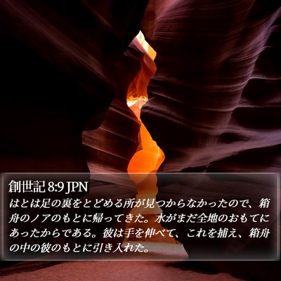 創世記 8:9 JPN Bible Verse Image