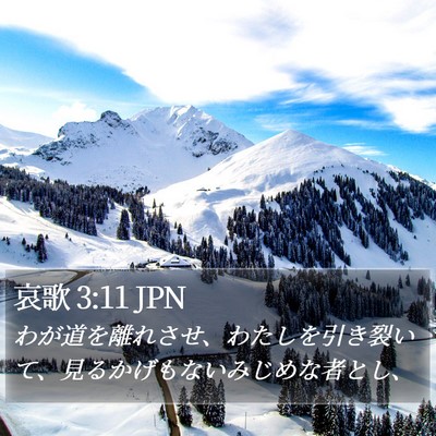 哀歌 3:11 JPN Bible Verse Image