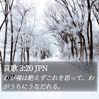 哀歌 3:20 JPN Bible Verse Image