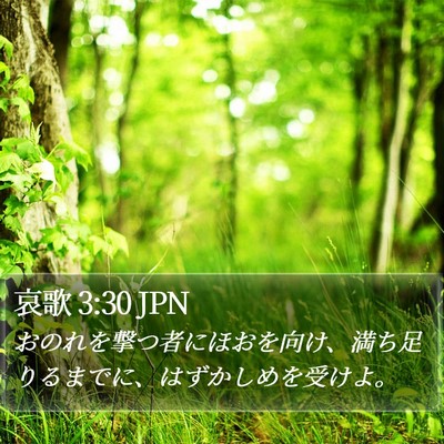 哀歌 3:30 JPN Bible Verse Image