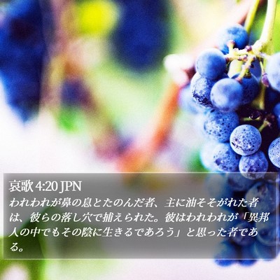 哀歌 4:20 JPN Bible Verse Image