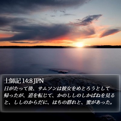 士師記 14:8 JPN Bible Verse Image