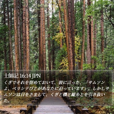 士師記 16:14 JPN Bible Verse Image