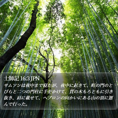 士師記 16:3 JPN Bible Verse Image