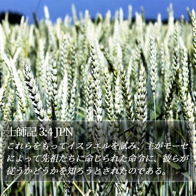 士師記 3:4 JPN Bible Verse Image