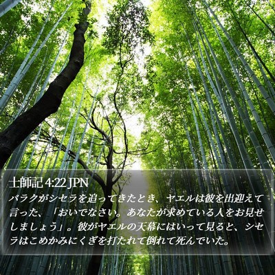 士師記 4:22 JPN Bible Verse Image