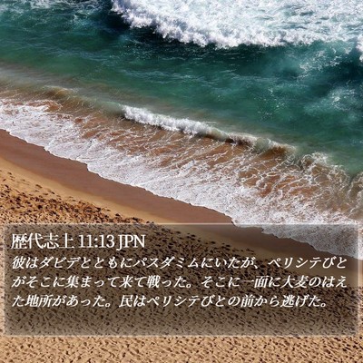 歴代志上 11:13 JPN Bible Verse Image