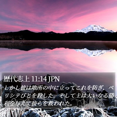 歴代志上 11:14 JPN Bible Verse Image