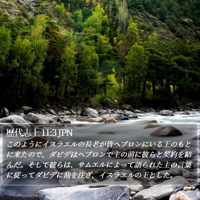 歴代志上 11:3 JPN Bible Verse Image