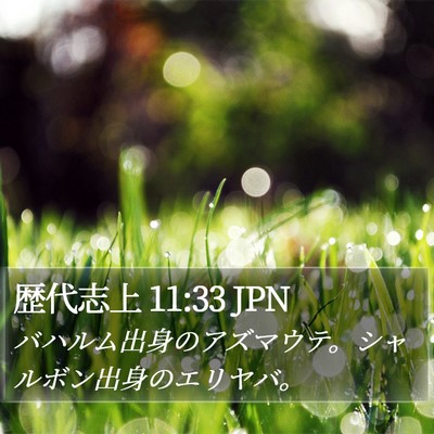 歴代志上 11:33 JPN Bible Verse Image