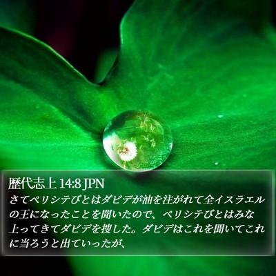 歴代志上 14:8 JPN Bible Verse Image