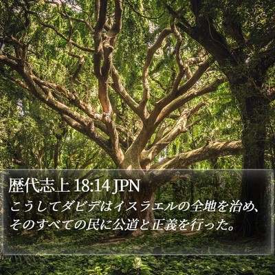 歴代志上 18:14 JPN Bible Verse Image