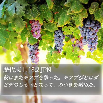 歴代志上 18:2 JPN Bible Verse Image