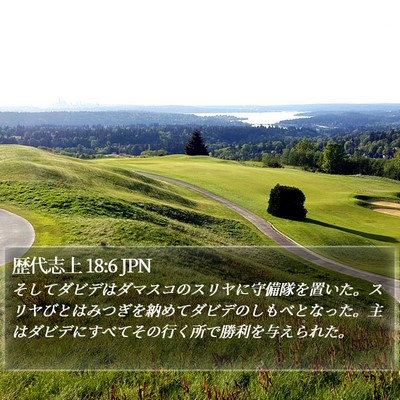 歴代志上 18:6 JPN Bible Verse Image