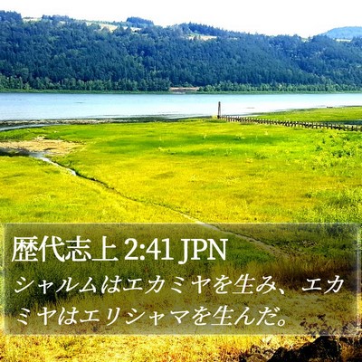 歴代志上 2:41 JPN Bible Verse Image