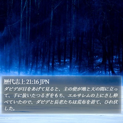 歴代志上 21:16 JPN Bible Verse Image