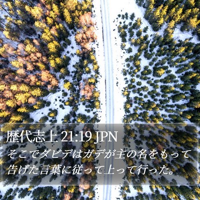 歴代志上 21:19 JPN Bible Verse Image