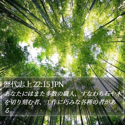 歴代志上 22:15 JPN Bible Verse Image
