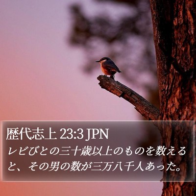 歴代志上 23:3 JPN Bible Verse Image