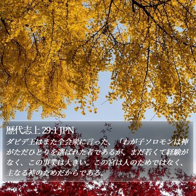 歴代志上 29:1 JPN Bible Verse Image