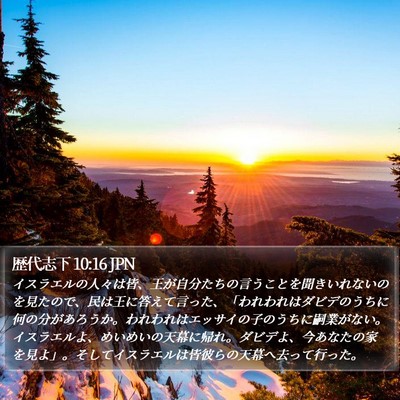 歴代志下 10:16 JPN Bible Verse Image
