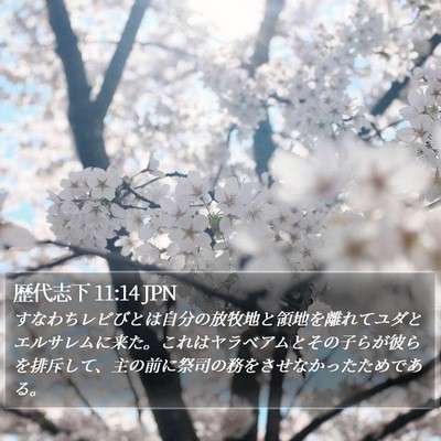 歴代志下 11:14 JPN Bible Verse Image