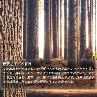 歴代志下 13:9 JPN Bible Verse Image