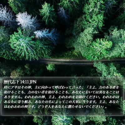 歴代志下 14:11 JPN Bible Verse Image