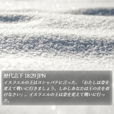 歴代志下 18:29 JPN Bible Verse Image