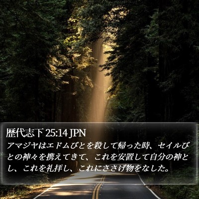 歴代志下 25:14 JPN Bible Verse Image